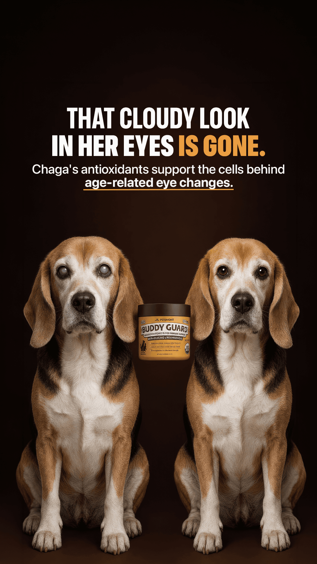 Portfolio ad creative 67