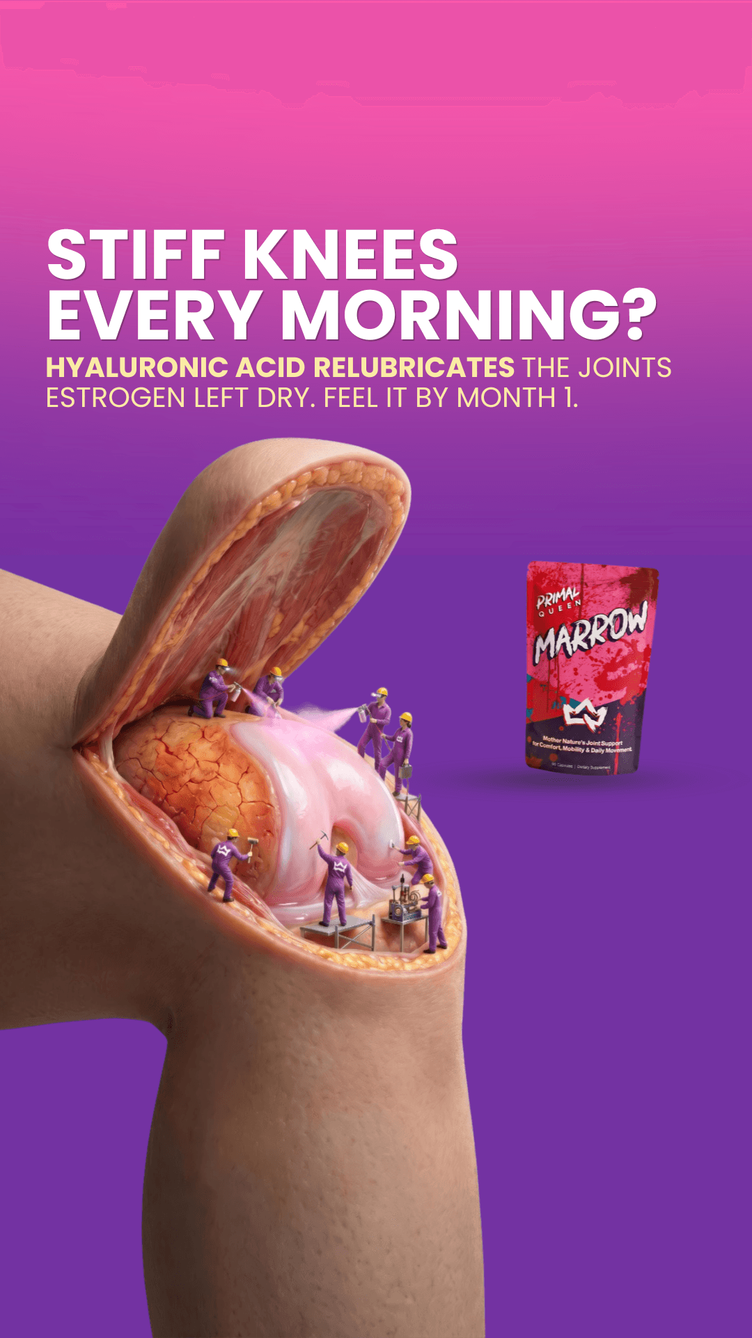 Portfolio ad creative 54