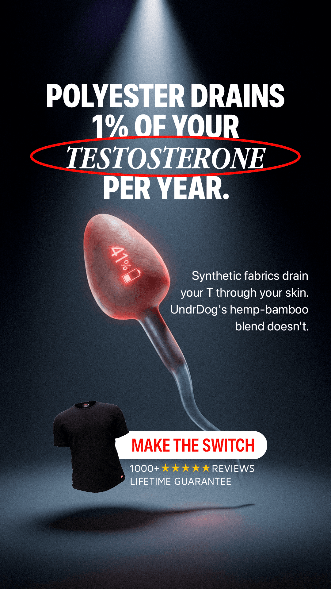 Portfolio ad creative 60