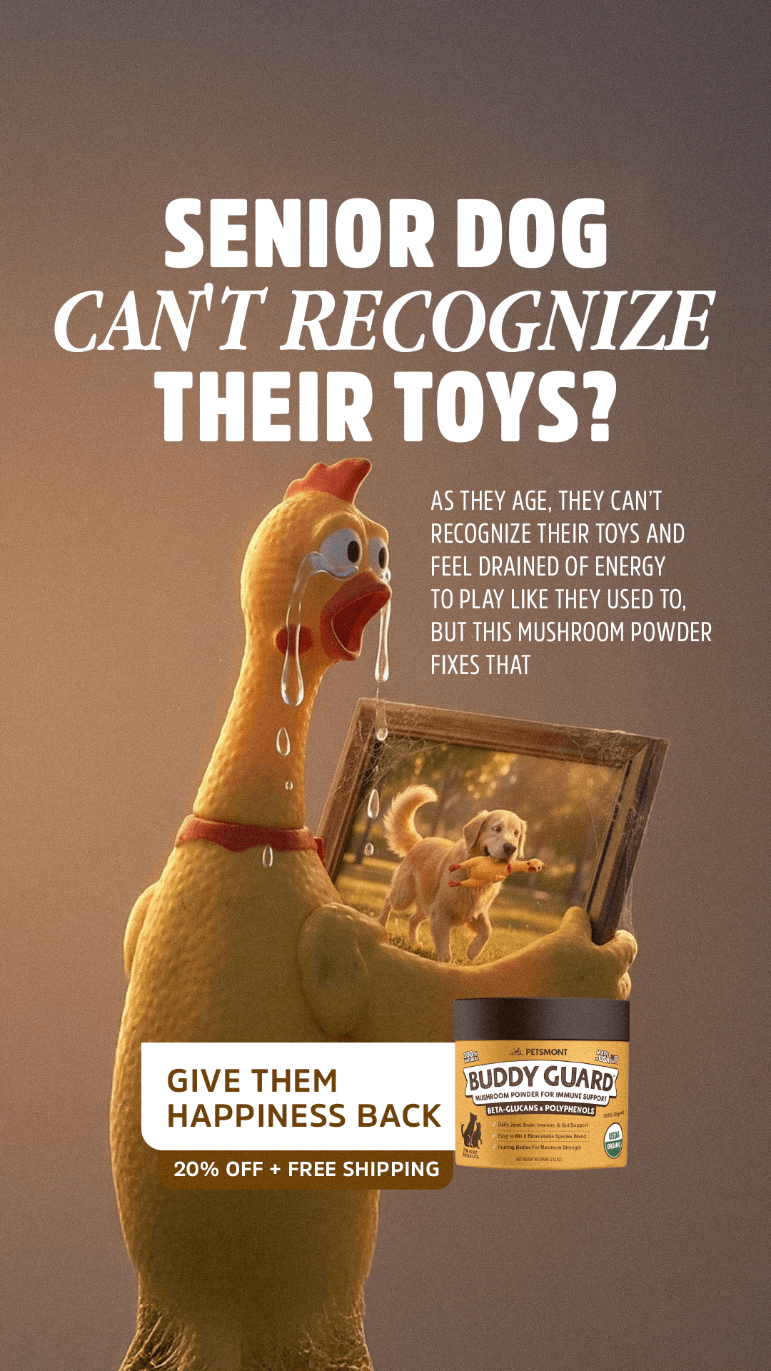 Portfolio ad creative 84