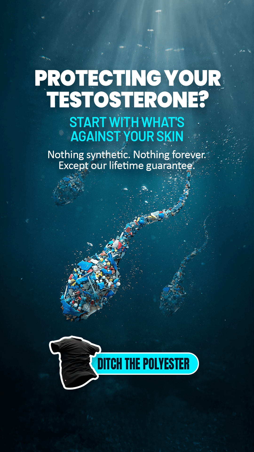 Portfolio ad creative 41