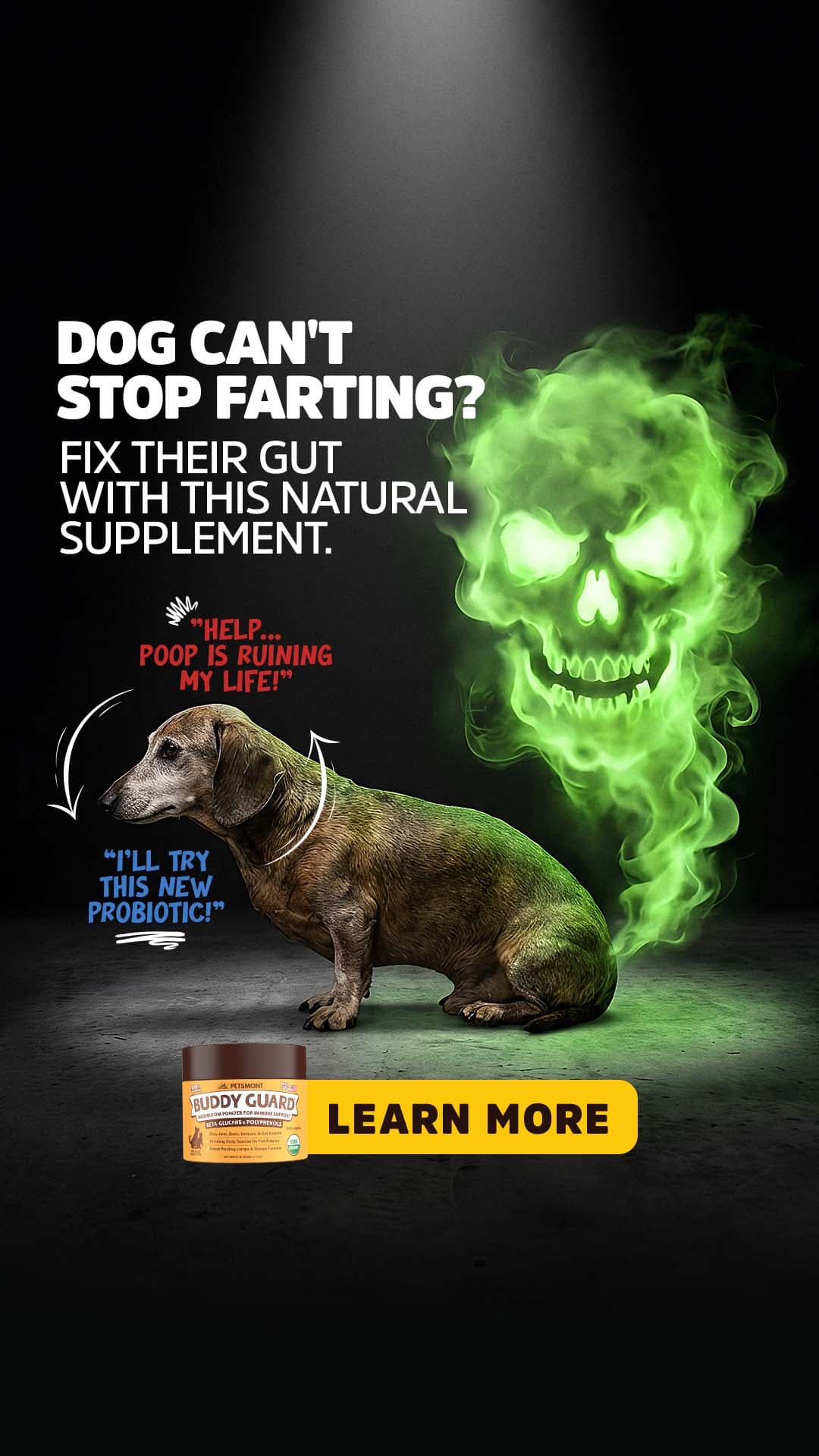 Portfolio ad creative 100