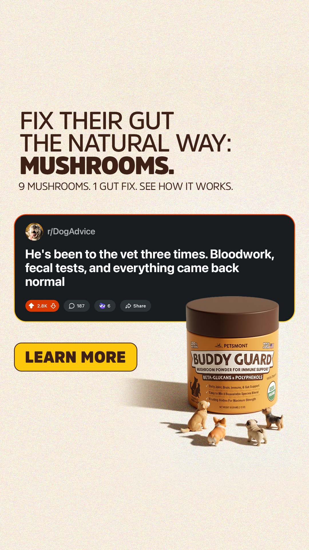 Portfolio ad creative 127