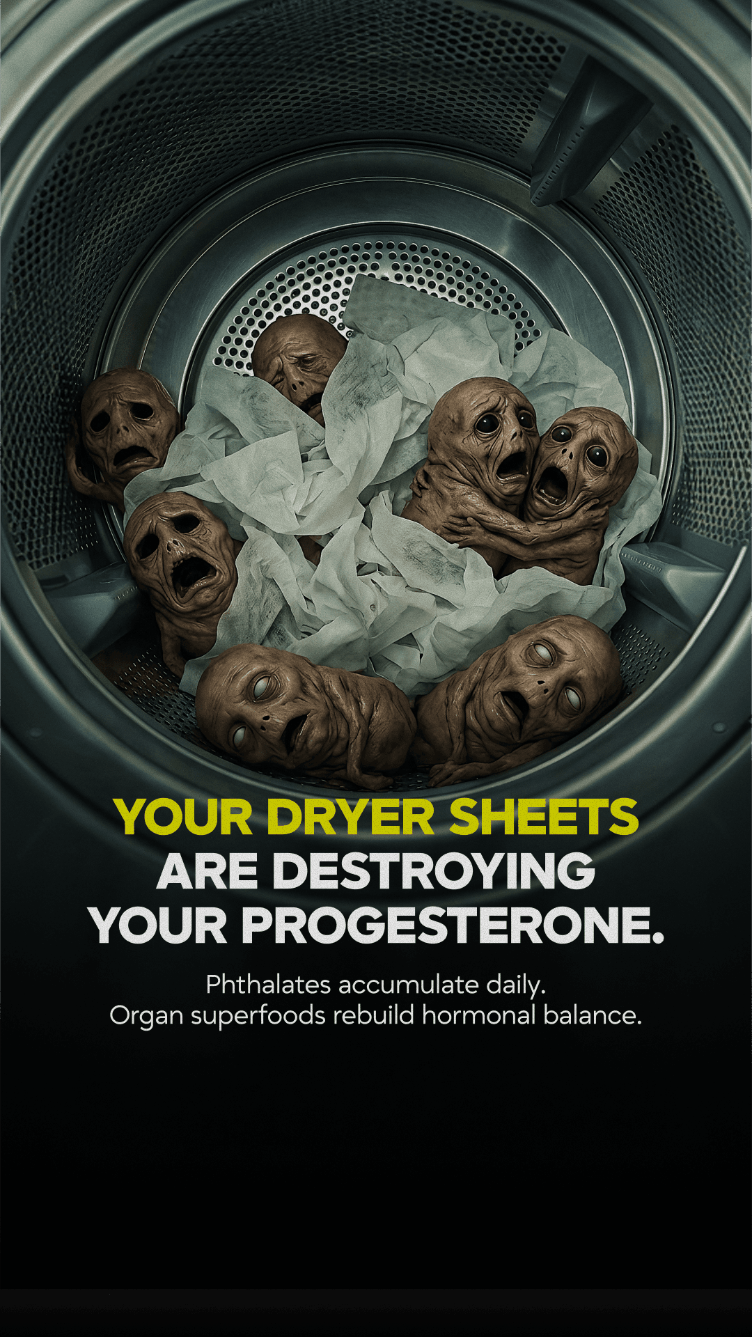 Portfolio ad creative 13
